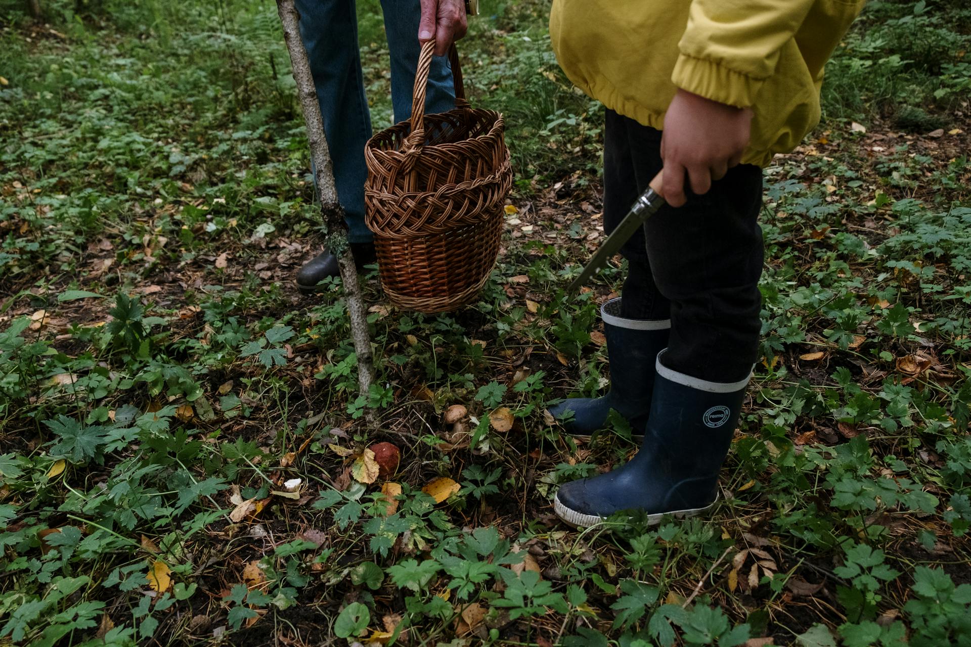 How to Start a Self-Sufficient Garden